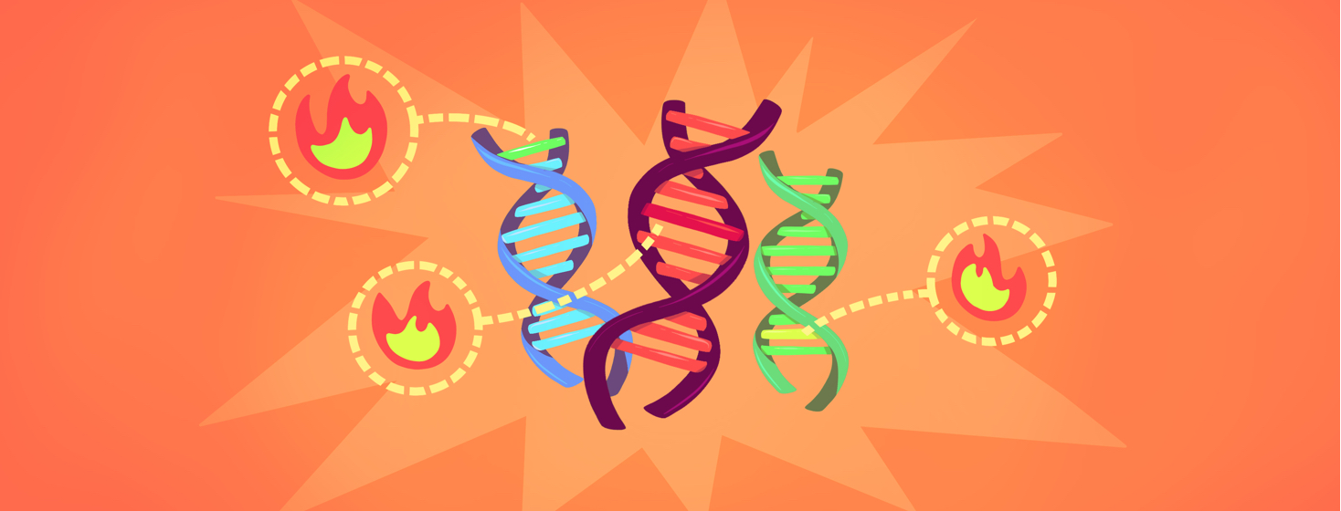 Three DNA strands are shown with dotted lines leading to highlighted portions in each strand. At the end of each dotted line is a flame.