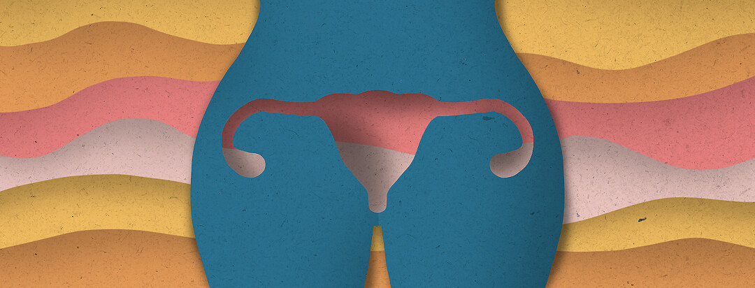 A collage with a cut out in the shape of a uterus.