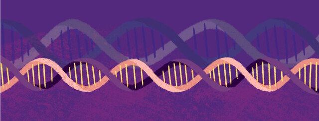 Lupus and Genetics image