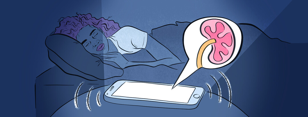 A woman sleeps in her bed as her phone rings on the table and a bubble appears out of it showing a kidney.
