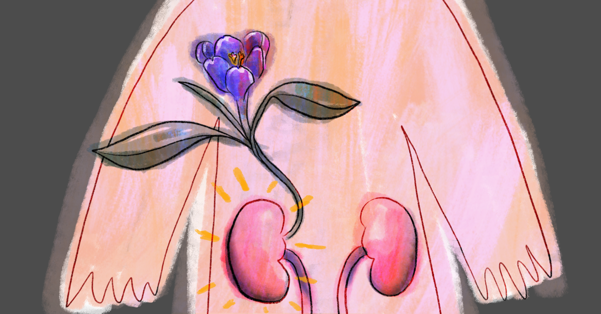 5 More Practical Tips to Thrive After a Kidney Transplant