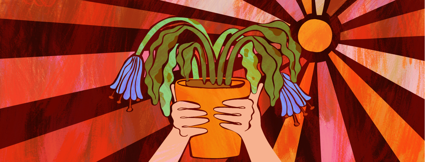Hands holding up a wilting flower pot with browning leaves, and the intense glowing sun behind it.