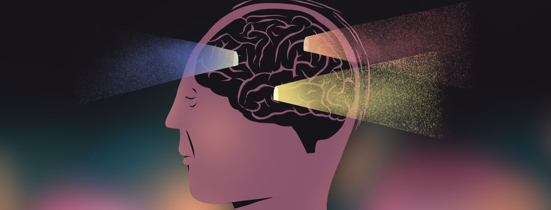 Doors shedding light on areas of the brain.